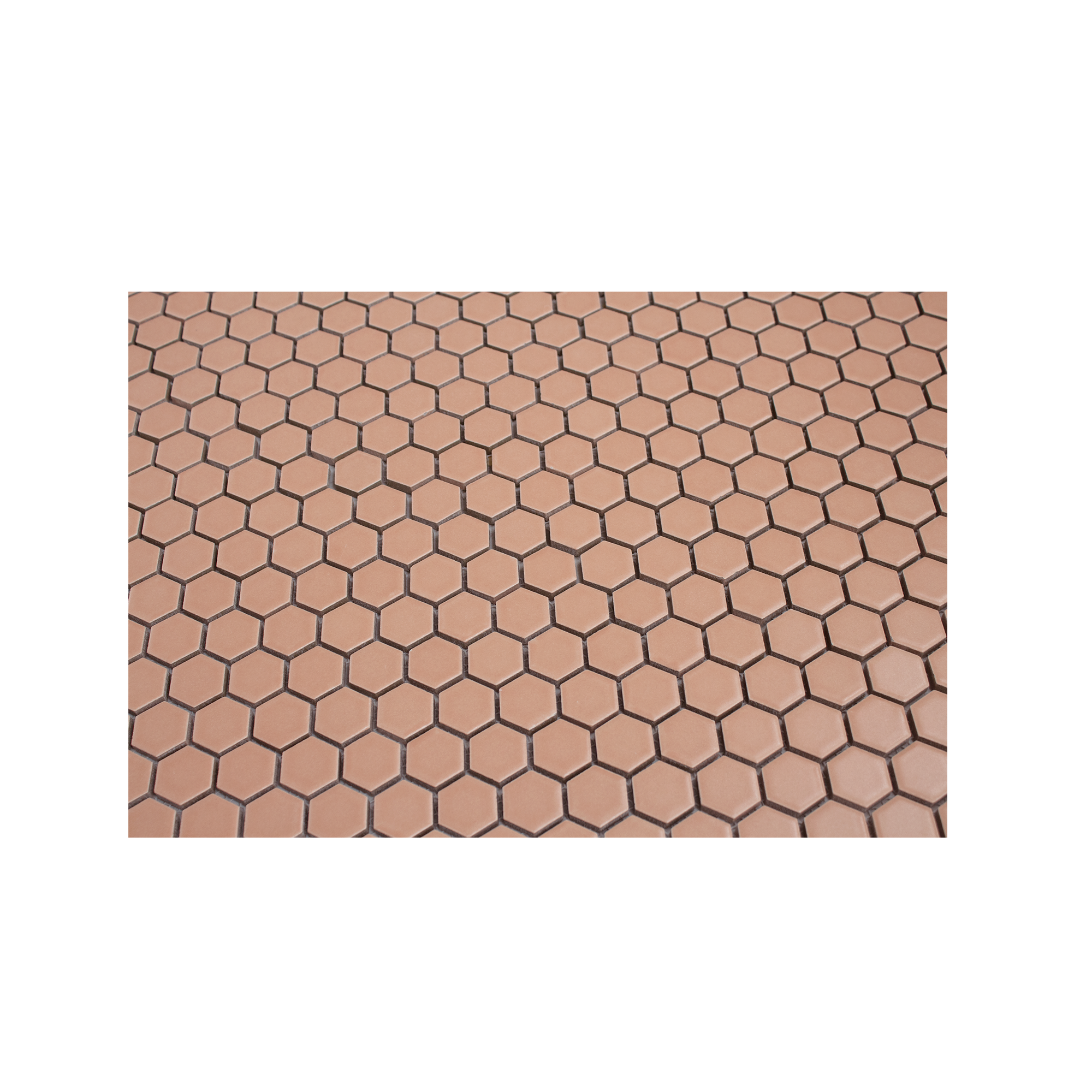 Peach 1" Hexagon Matte Porcelain Mosaic Tile