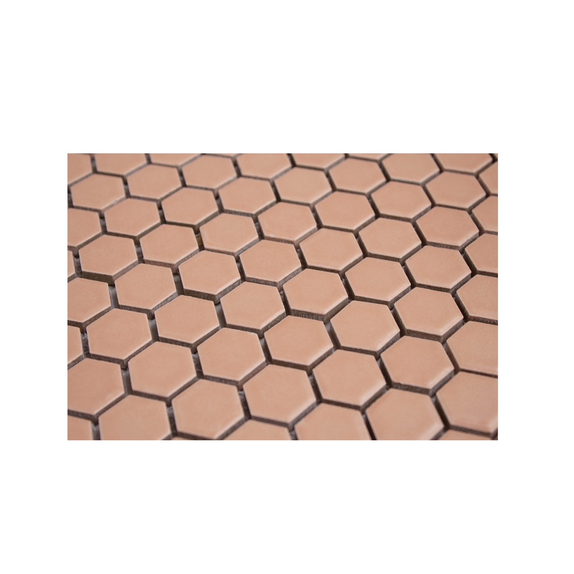 Peach 1" Hexagon Matte Porcelain Mosaic Tile