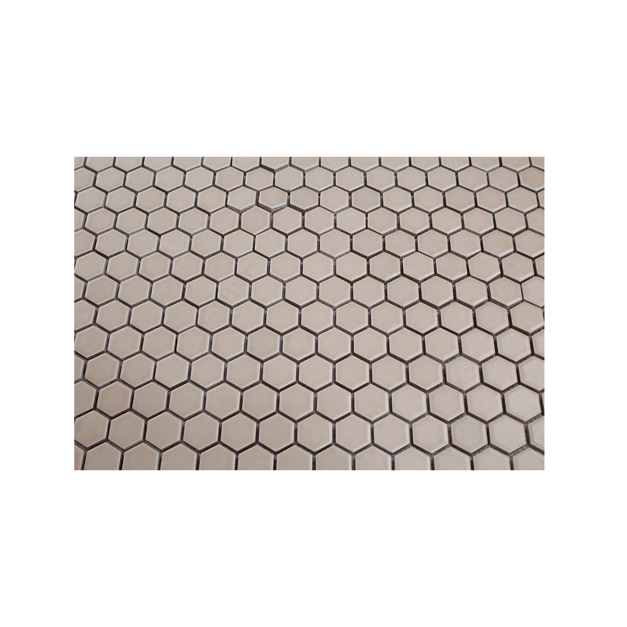 Tanl 1" Hexagon Matte Porcelain Mosaic Tile