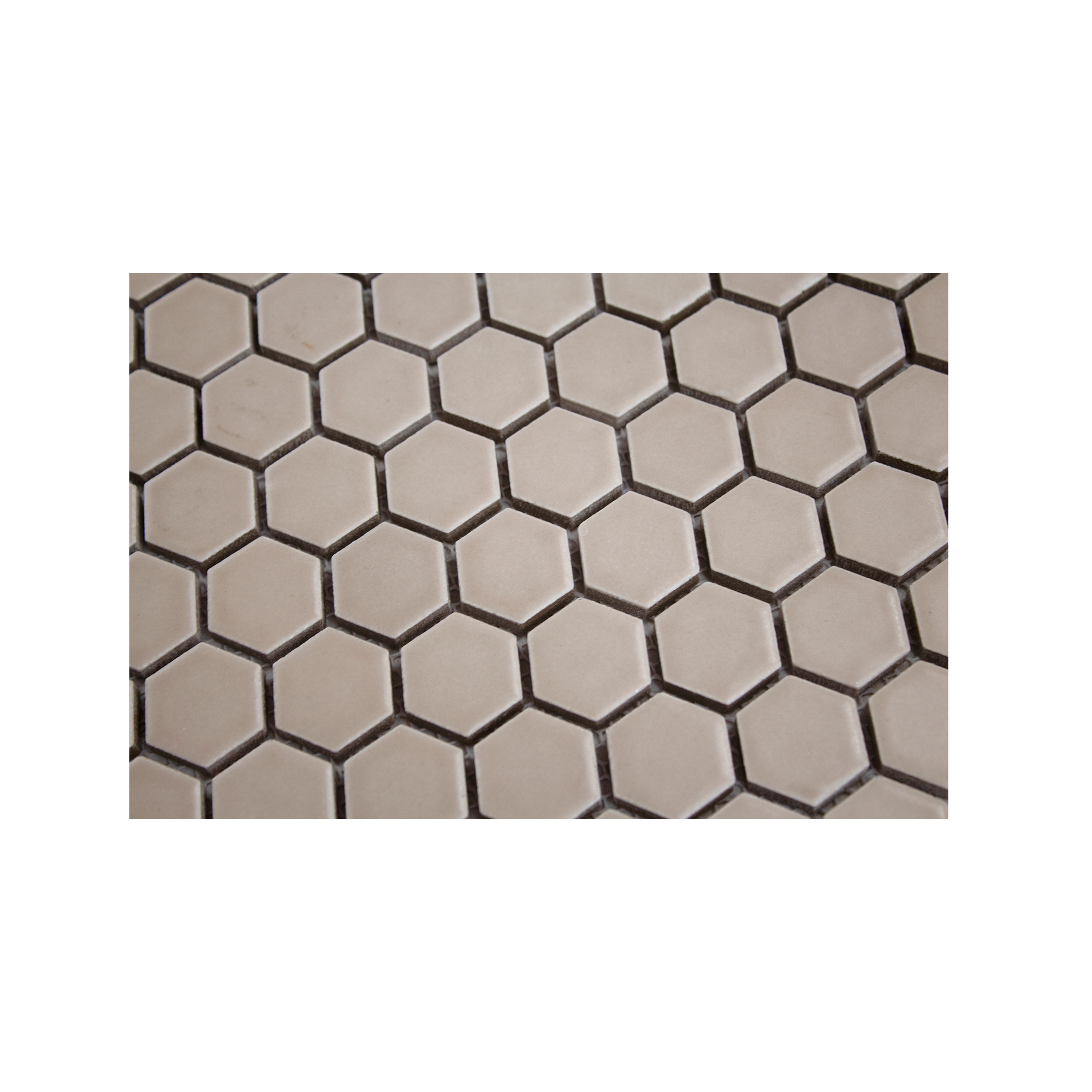 Tanl 1" Hexagon Matte Porcelain Mosaic Tile