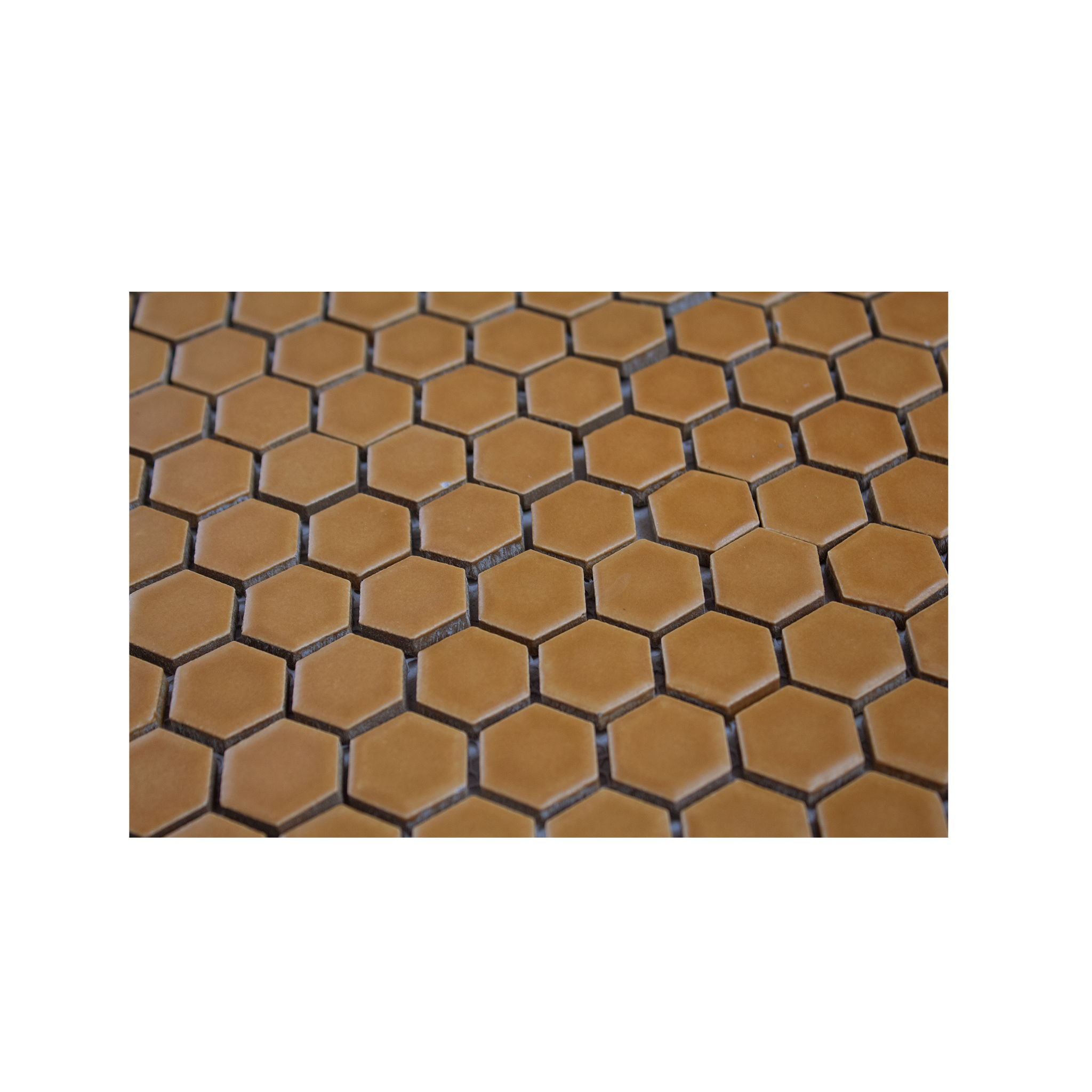 Tobacco Brown 1" Hexagon Matte Porcelain Mosaic Tile