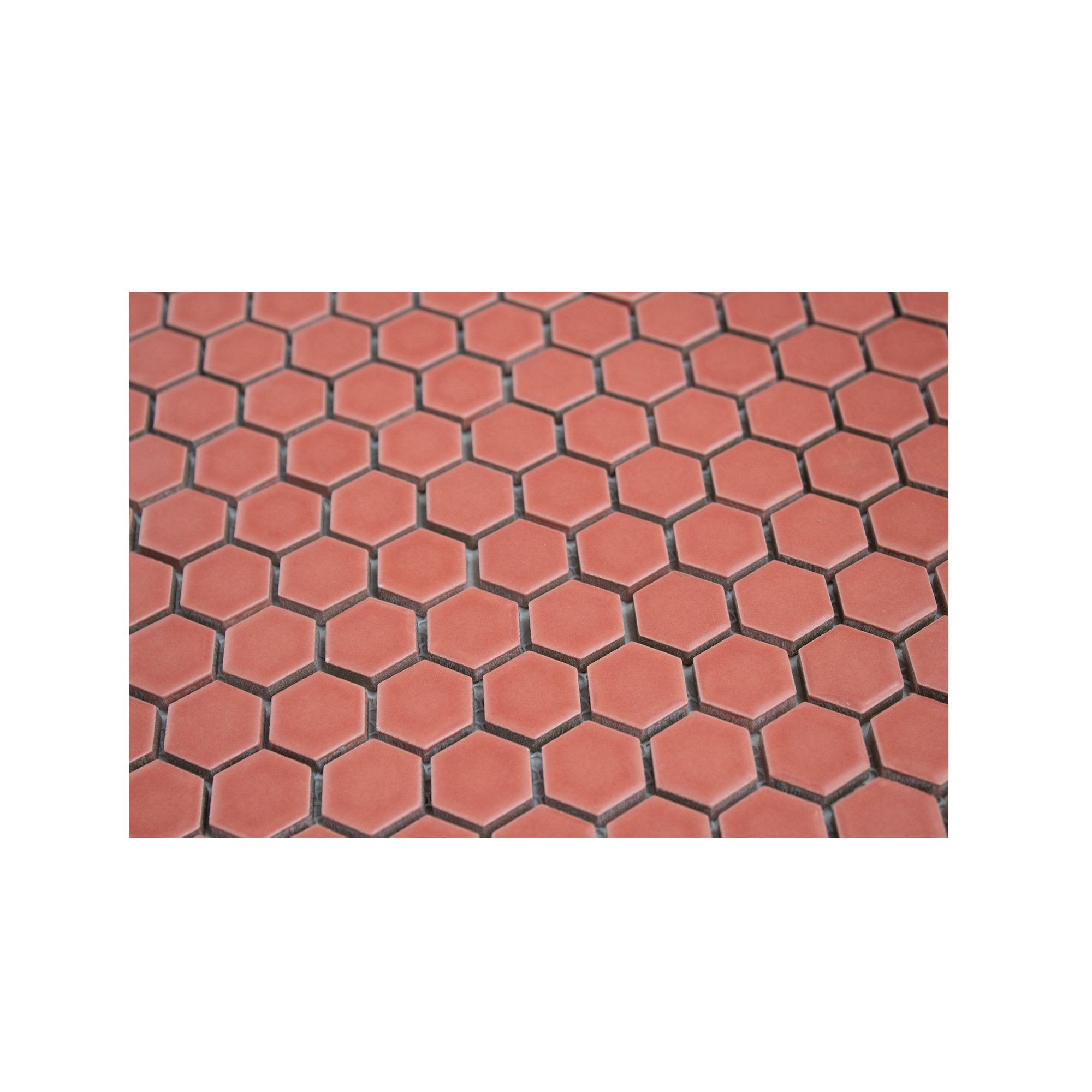 Sienna Red 1" Hexagon Matte Porcelain Mosaic Tile