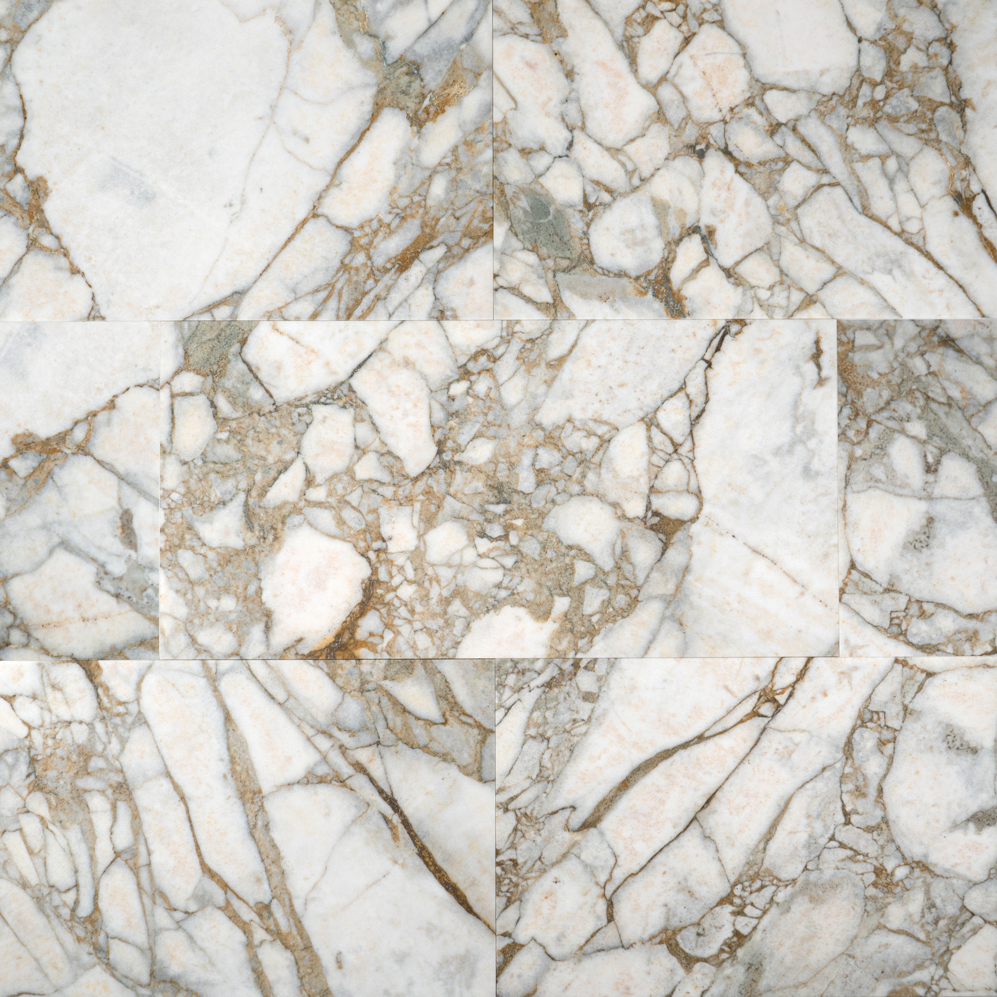 Calacatta Green Marble 12x24 Honed Field Tile