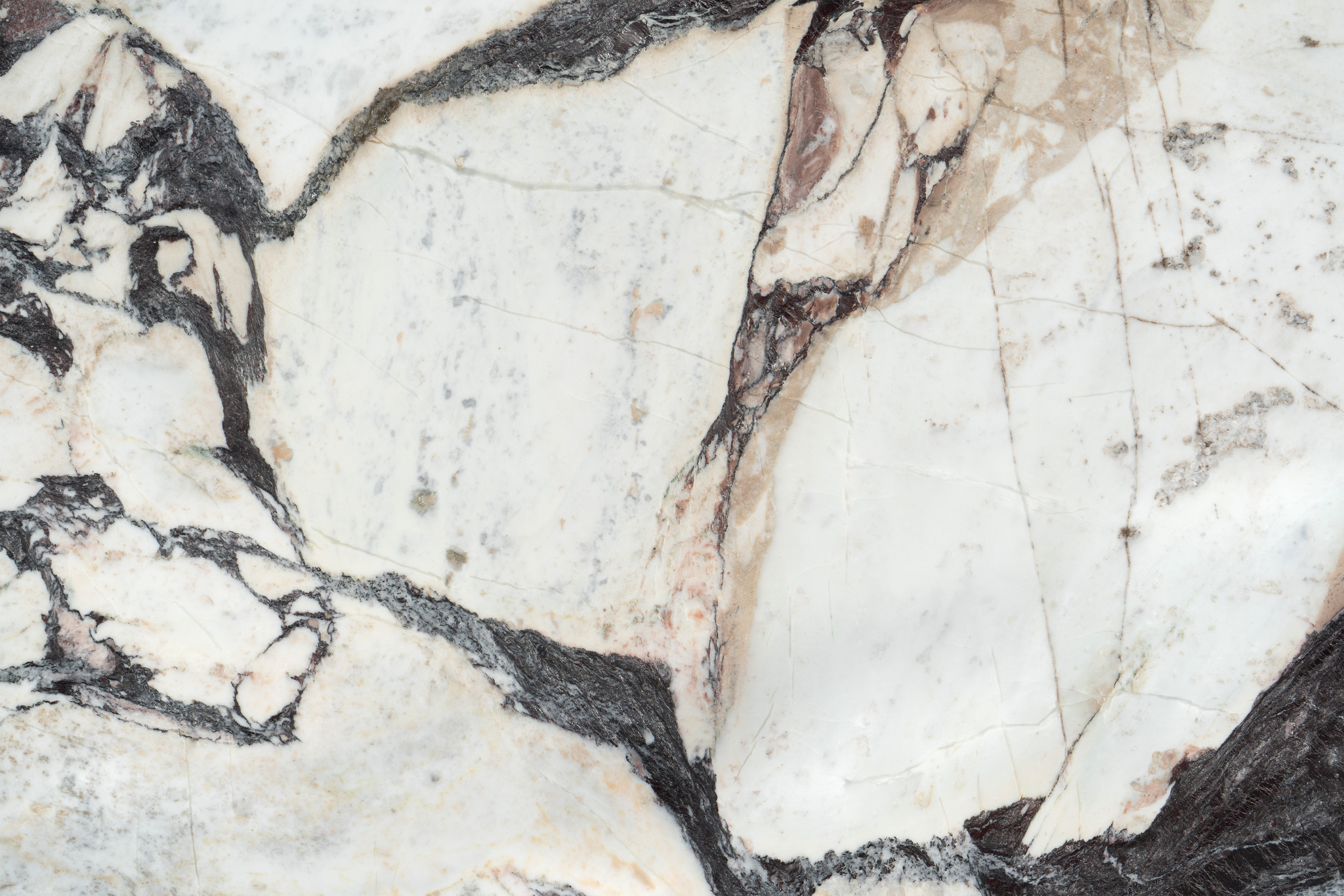 Calacatta Viola Marble Honed Slab