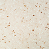 Capri Powder Pink 16x16 Terrazzo Tile