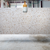 Salina Terrazzo - Slab