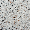 Pepe Nero 16x16 Terrazzo Tile